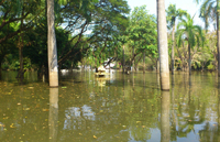 intERLab building at the horizon